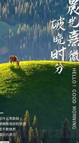 牛牛抢庄微信-牛牛抢庄微信，一场智慧与策略的博弈